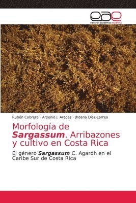 Morfologa de Sargassum. Arribazones y cultivo en Costa Rica 1
