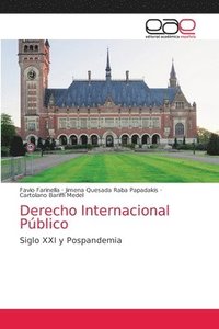 bokomslag Derecho Internacional Publico