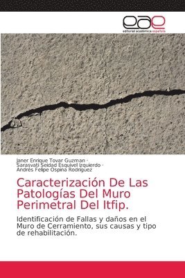 Caracterizacion De Las Patologias Del Muro Perimetral Del Itfip. 1