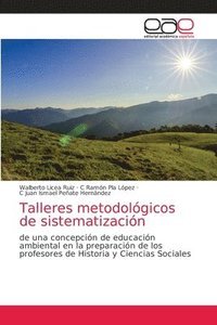 bokomslag Talleres metodolgicos de sistematizacin