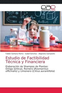 bokomslag Estudio de Factibilidad Tcnica y Financiera