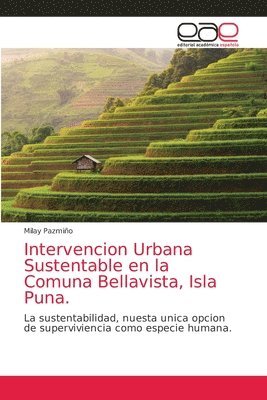 Intervencion Urbana Sustentable en la Comuna Bellavista, Isla Puna. 1