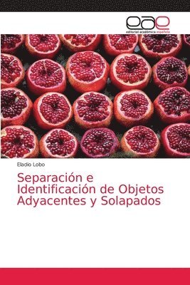 Separacion e Identificacion de Objetos Adyacentes y Solapados 1