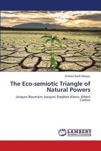 bokomslag The Eco-semiotic Triangle of Natural Powers