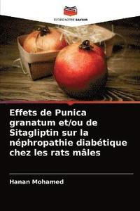 bokomslag Effets de Punica granatum et/ou de Sitagliptin sur la nphropathie diabtique chez les rats mles