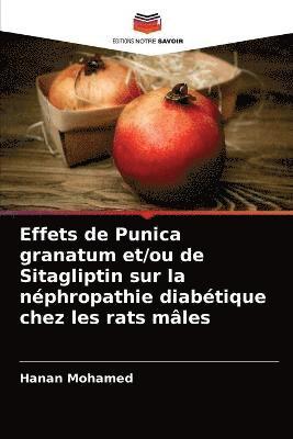Effets de Punica granatum et/ou de Sitagliptin sur la nphropathie diabtique chez les rats mles 1