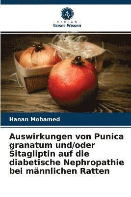 Auswirkungen von Punica granatum und/oder Sitagliptin auf die diabetische Nephropathie bei mnnlichen Ratten 1