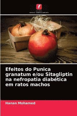 Efeitos do Punica granatum e/ou Sitagliptin na nefropatia diabtica em ratos machos 1