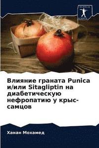 bokomslag &#1042;&#1083;&#1080;&#1103;&#1085;&#1080;&#1077; &#1075;&#1088;&#1072;&#1085;&#1072;&#1090;&#1072; Punica &#1080;/&#1080;&#1083;&#1080; Sitagliptin &#1085;&#1072;