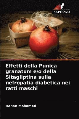 bokomslag Effetti della Punica granatum e/o della Sitagliptina sulla nefropatia diabetica nei ratti maschi