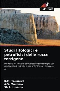 bokomslag Studi litologici e petrofisici delle rocce terrigene