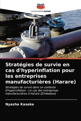 Strategies de survie en cas d'hyperinflation pour les entreprises manufacturieres (Harare) 1