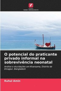 bokomslag O potencial do praticante privado informal na sobrevivncia neonatal