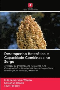 bokomslag Desempenho Hetertico e Capacidade Combinada no Sorgo