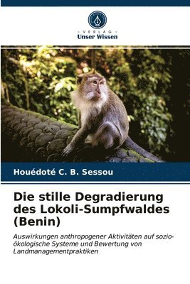 bokomslag Die stille Degradierung des Lokoli-Sumpfwaldes (Benin)