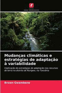bokomslag Mudancas climaticas e estrategias de adaptacao a variabilidade