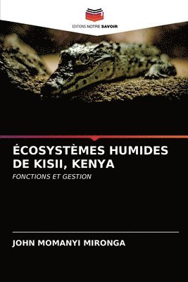 Ecosystemes Humides de Kisii, Kenya 1