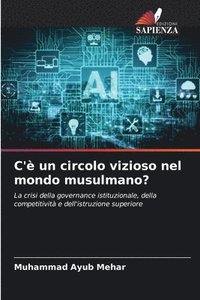 bokomslag C' un circolo vizioso nel mondo musulmano?