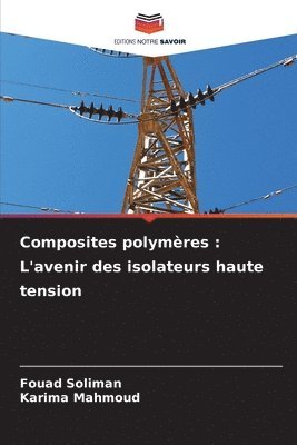 bokomslag Composites polymères: L'avenir des isolateurs haute tension