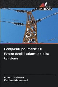 bokomslag Compositi polimerici: Il futuro degli isolanti ad alta tensione