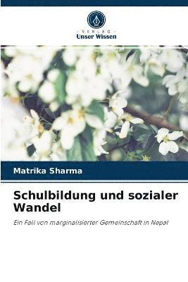 bokomslag Schulbildung und sozialer Wandel