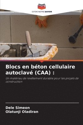 Blocs en béton cellulaire autoclavé (CAA) 1