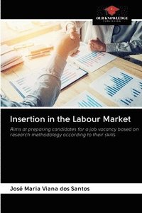 bokomslag Insertion in the Labour Market