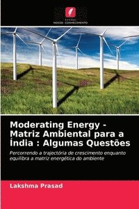 bokomslag Moderating Energy - Matriz Ambiental para a India