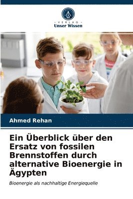 bokomslag Ein berblick ber den Ersatz von fossilen Brennstoffen durch alternative Bioenergie in gypten