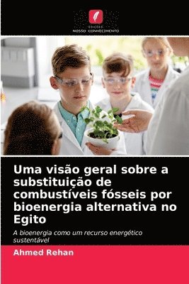 bokomslag Uma viso geral sobre a substituio de combustveis fsseis por bioenergia alternativa no Egito