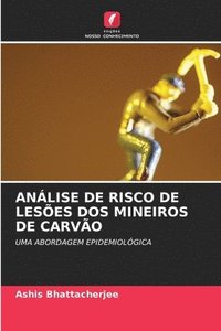 bokomslag Anlise de Risco de Leses DOS Mineiros de Carvo