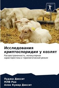 bokomslag &#1048;&#1089;&#1089;&#1083;&#1077;&#1076;&#1086;&#1074;&#1072;&#1085;&#1080;&#1103; &#1082;&#1088;&#1080;&#1087;&#1090;&#1086;&#1089;&#1087;&#1086;&#1088;&#1080;&#1076;&#1080;&#1103; &#1091;