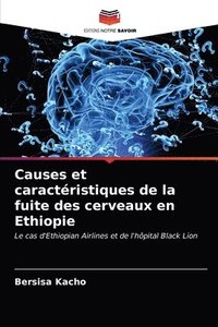 bokomslag Causes et caracteristiques de la fuite des cerveaux en Ethiopie