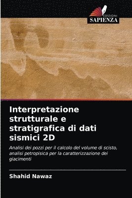 Interpretazione strutturale e stratigrafica di dati sismici 2D 1