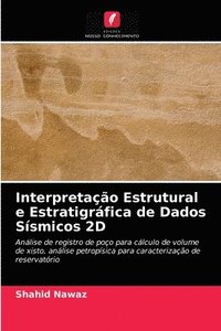 bokomslag Interpretao Estrutural e Estratigrfica de Dados Ssmicos 2D