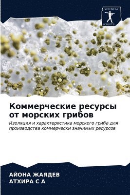 bokomslag &#1050;&#1086;&#1084;&#1084;&#1077;&#1088;&#1095;&#1077;&#1089;&#1082;&#1080;&#1077; &#1088;&#1077;&#1089;&#1091;&#1088;&#1089;&#1099; &#1086;&#1090; &#1084;&#1086;&#1088;&#1089;&#1082;&#1080;&#1093;