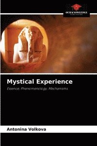 bokomslag Mystical Experience