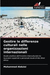 bokomslag Gestire le differenze culturali nelle organizzazioni internazionali