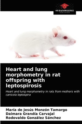 Heart and lung morphometry in rat offspring with leptospirosis 1