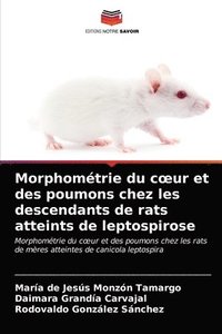 bokomslag Morphomtrie du coeur et des poumons chez les descendants de rats atteints de leptospirose