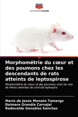 Morphomtrie du coeur et des poumons chez les descendants de rats atteints de leptospirose 1