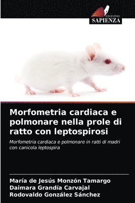 Morfometria cardiaca e polmonare nella prole di ratto con leptospirosi 1