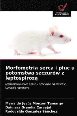 bokomslag Morfometria serca i pluc u potomstwa szczurw z leptospiroz&#261;