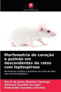 bokomslag Morfometria do corao e pulmo em descendentes de ratos com leptospirose