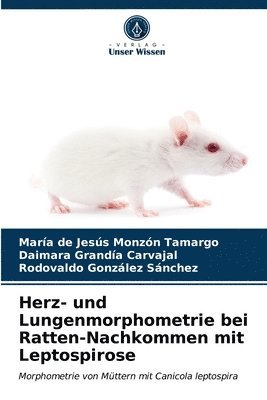 bokomslag Herz- und Lungenmorphometrie bei Ratten-Nachkommen mit Leptospirose