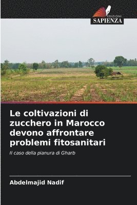 bokomslag Le coltivazioni di zucchero in Marocco devono affrontare problemi fitosanitari