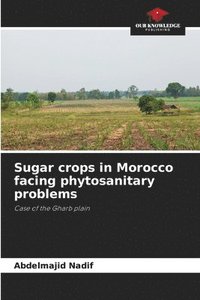 bokomslag Sugar crops in Morocco facing phytosanitary problems