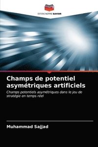 bokomslag Champs de potentiel asymtriques artificiels