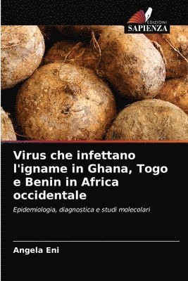 Virus che infettano l'igname in Ghana, Togo e Benin in Africa occidentale 1