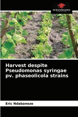 bokomslag Harvest despite Pseudomonas syringae pv. phaseolicola strains